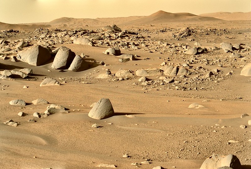 The View On Mars