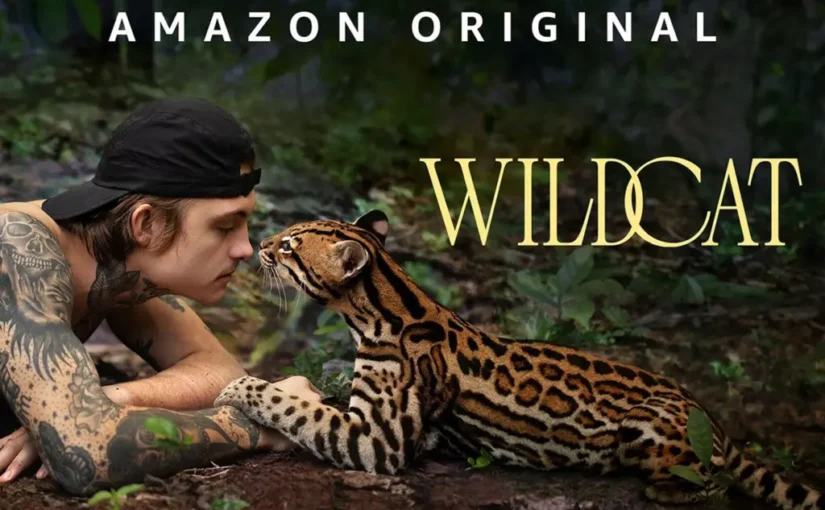 Wildcat–A Tale of Healing and Redemption